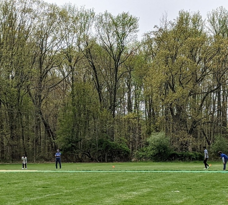 rowland-park-cricket-pitch-photo